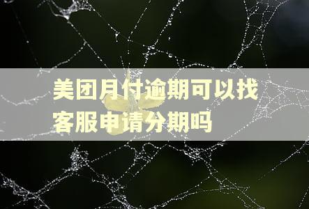 美团月付逾期可以找客服申请分期吗
