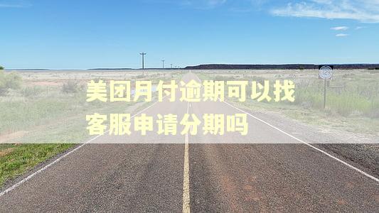 美团月付逾期可以找客服申请分期吗