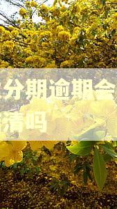 浦发分期逾期会让提前结清吗