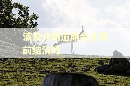 浦发分期逾期会让提前结清吗