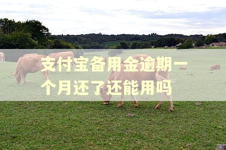 支付宝备用金逾期一个月还了还能用吗