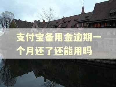 支付宝备用金逾期一个月还了还能用吗