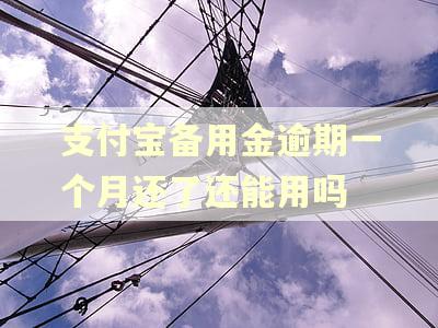 支付宝备用金逾期一个月还了还能用吗