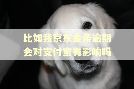 比如我京东金条逾期会对支付宝有影响吗