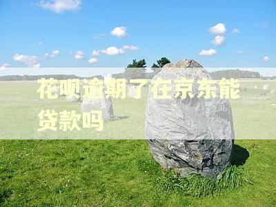 花呗逾期了在京东能贷款吗
