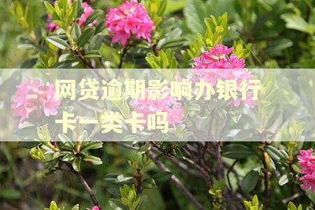 网贷逾期影响办银行卡一类卡吗 网贷逾期影响办银行卡一类卡吗