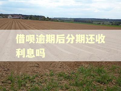 借呗逾期后分期还收利息吗