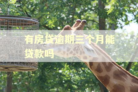 有房贷逾期三个月能贷款吗