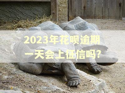 2023年花呗逾期一天会上征信吗?