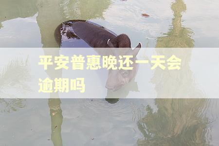 平安普惠晚还一天会逾期吗