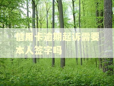 信用卡逾期起诉需要本人签字吗