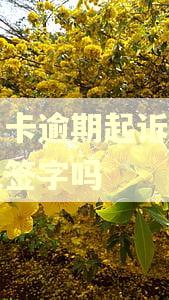 信用卡逾期起诉需要本人签字吗