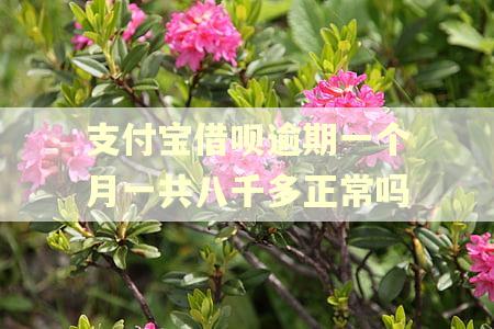 支付宝借呗逾期一个月一共八千多正常吗