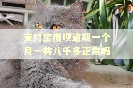 支付宝借呗逾期一个月一共八千多正常吗