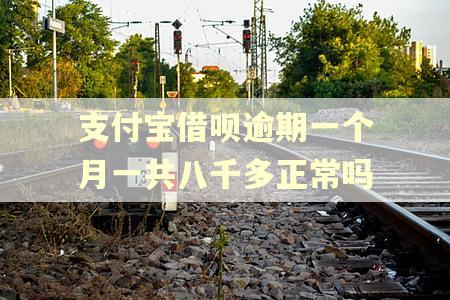 支付宝借呗逾期一个月一共八千多正常吗
