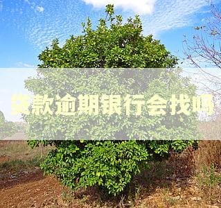 贷款逾期银行会找吗