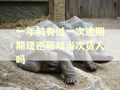 一年前有过一次逾期期现逆可以当次货人吗 一年前有过一次逾期期现逆可以当次货人吗