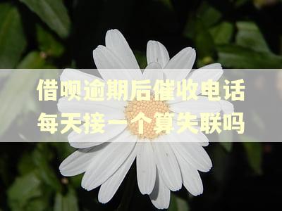 借呗逾期后催收电话每天接一个算失联吗