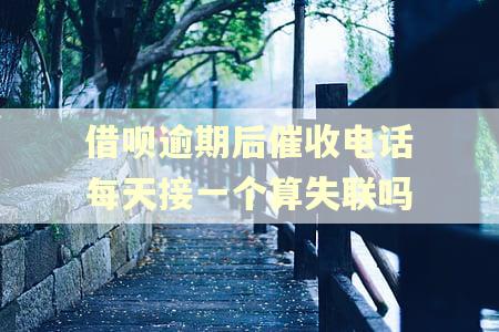 借呗逾期后催收电话每天接一个算失联吗