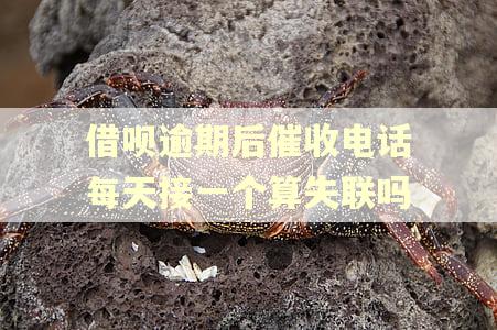 借呗逾期后催收电话每天接一个算失联吗 借呗逾期后催收电话每天接一个算失联吗