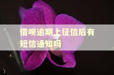 借呗逾期上征信后有短信通知吗