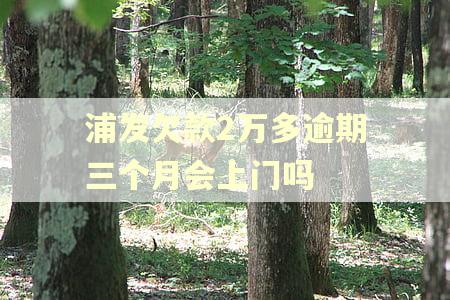 浦发欠款2万多逾期三个月会上门吗