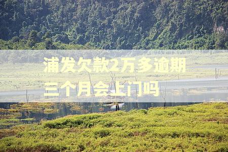 浦发欠款2万多逾期三个月会上门吗