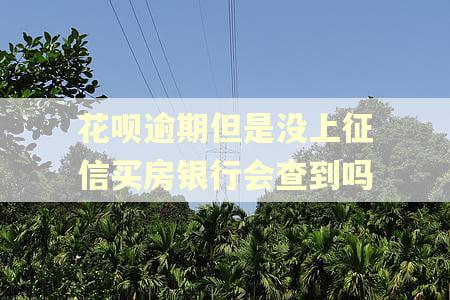 花呗逾期但是没上征信买房银行会查到吗