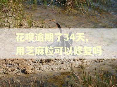 花呗逾期了34天,用芝麻粒可以修复吗