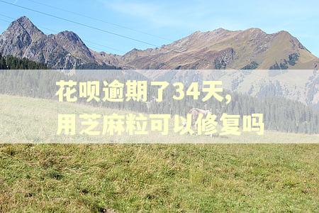 花呗逾期了34天,用芝麻粒可以修复吗