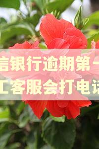 中信银行逾期第一天人工客服会打电话吗