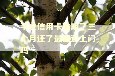 平安信用卡逾期了三个月还了最低还上门吗