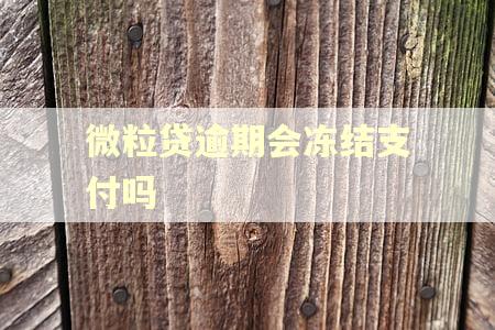微粒贷逾期会冻结支付吗