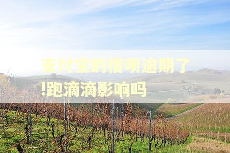 支付宝的借呗逾期了!跑滴滴影响吗