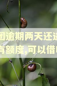 美团逾期两天还进去还有额度,可以借吗