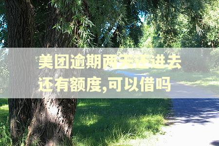美团逾期两天还进去还有额度,可以借吗
