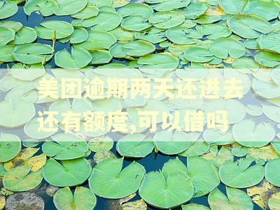 美团逾期两天还进去还有额度,可以借吗