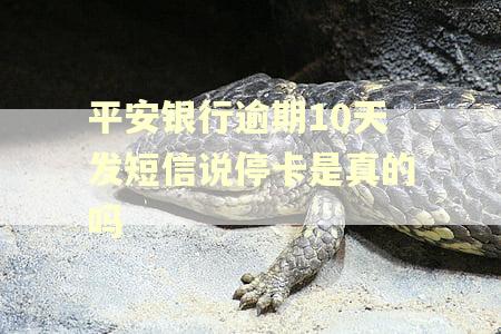 平安银行逾期10天发短信说停卡是真的吗