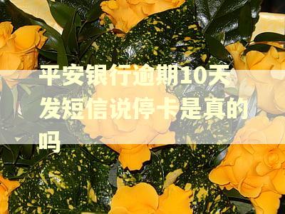 平安银行逾期10天发短信说停卡是真的吗