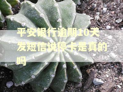 平安银行逾期10天发短信说停卡是真的吗
