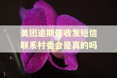 美团逾期催收发短信联系村委会是真的吗