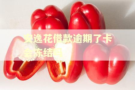 安逸花借款逾期了卡会冻结吗