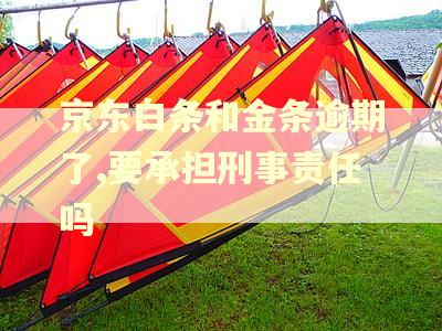 京东白条和金条逾期了,要承担刑事责任吗