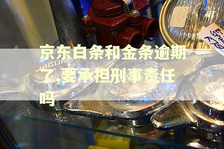 京东白条和金条逾期了,要承担刑事责任吗