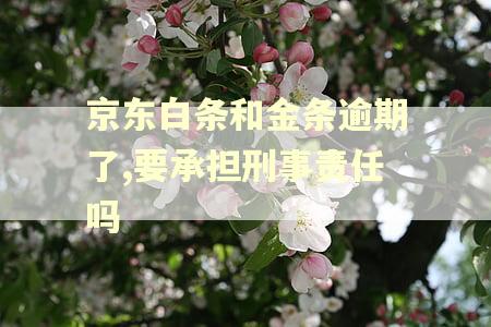 京东白条和金条逾期了,要承担刑事责任吗