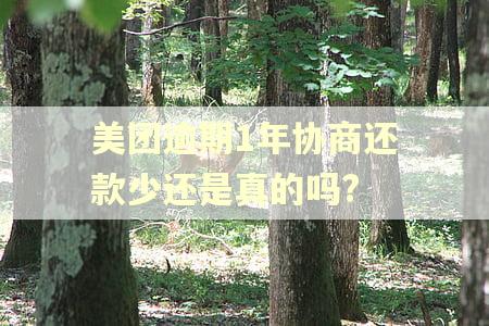 美团逾期1年协商还款少还是真的吗?