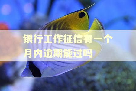 银行工作征信有一个月内逾期能过吗