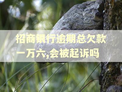 招商银行逾期总欠款一万六,会被起诉吗 招商银行逾期总欠款一万六,会被起诉吗