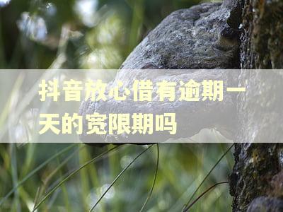 抖音放心借有逾期一天的宽限期吗