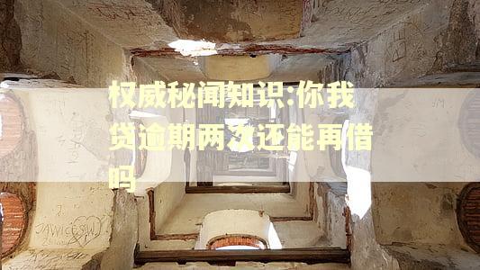权威秘闻知识:你我贷逾期两次还能再借吗